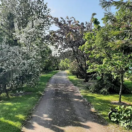 Dorf Stille - Huetten In Den Gaerten Magra - Ecru Zakrzewo (Slawno)