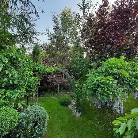 Dorf Stille - Huetten In Den Gaerten Magra - Ecru Holiday home Zakrzewo (Slawno)